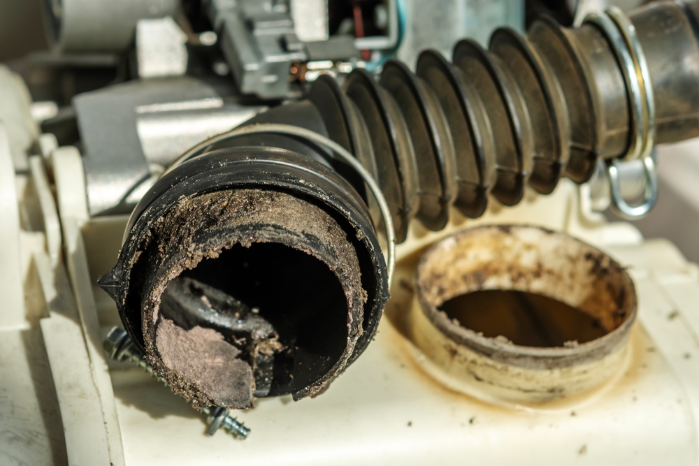 Laundry Drain Cleaning